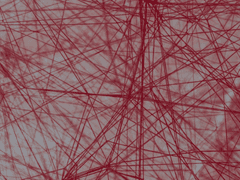 홍사 ( 紅絲 ), 그 두 번째 이야기,