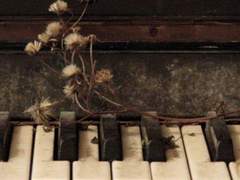 연약한 빵을 뜯으며 상한 감정의 맛을 본다*