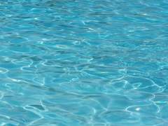 심해화 - 沈海華