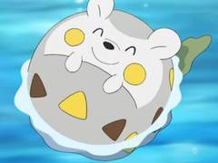 감사 커미션 기본 공지