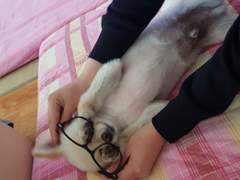 누나집에있는날