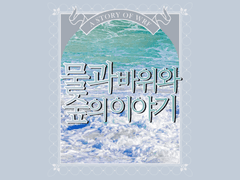 물과 바위와 숲의 이야기 2