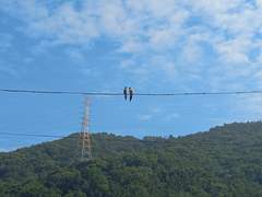 내 인생은 어디로 사라져 갔을까?