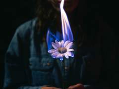 (정)강온유, 정웬리우