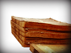 (논컾)사초 씻기