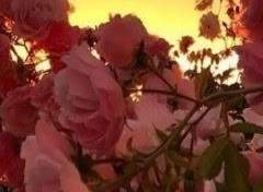 Excellent, and perfect!