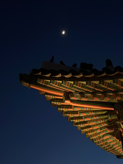 견권지정 繾綣之情