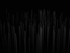 [악시제네카 P. 디데카시움] 고등부 4차 과제