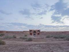 카밀라 애트우드