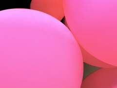 비체(리체) / XX / 외관20