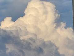 [𝐏𝐫𝐨𝐟𝐢𝐥𝐞] 백 이연