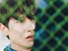 호랑이 꽃 (외전)