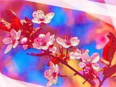 조개 껍데기는 녹슬지 않는다