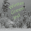 Wintergreen Jed - 윈그제
