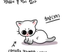 11화 손이 꽁 코가 꽁