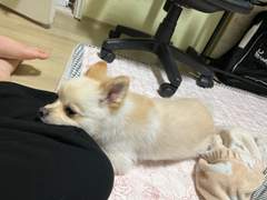 누나!! 어디가!!!