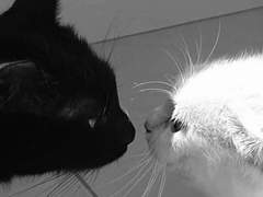 캠퍼스 커플 1, 2주차