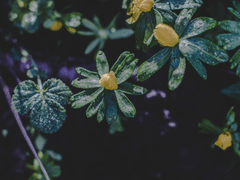 [국뷔] 민히제스턴 증후군_01