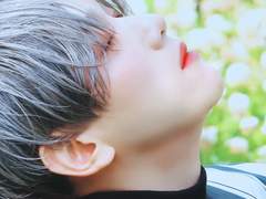 새벽에도 매미는 울음을 그치지 않는다 上