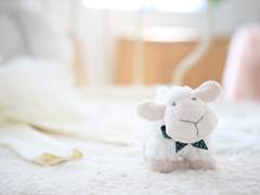 [벨루스 펠라구스 / xx / 10 / 자작]