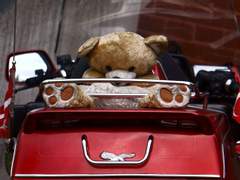 테라다이라 토미