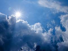 코하네 리카 / 16