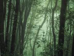 피아노의 선율엔 탄식이 묻어있다