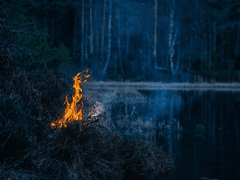 돈을 주는 사람과 돈을 받는 사람