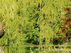 淡水之交_淡泊하고 變함없는 우정