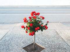 데스 스파이럴(Death Spiral) 07