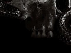 Guinevere Dine Russell