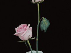 [국뷔] 당신의 애인이 보여요_01