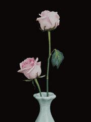 [국뷔] 당신의 애인이 보여요