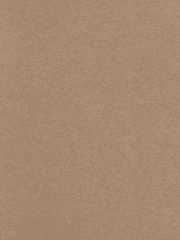 두 공작 이야기