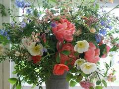 당선 소식/이도은