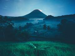 스페이스 NPC 프로필