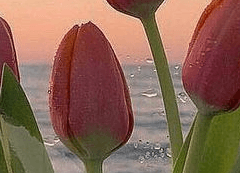 한바탕 이지러지는