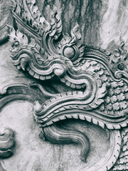 바이서스 갈색산맥 국립공원