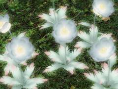 하고픈 말, 해야할 말