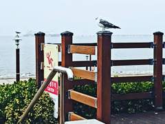 시화나래 휴게소