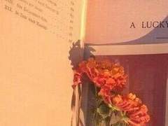 백로운/XY/24/학생회