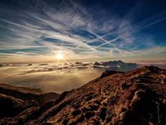 𝑾𝒊𝒏𝒈𝒔 𝑶𝒇 𝑫