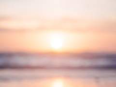 우리는 어째서 빛의 자취를 좇는가