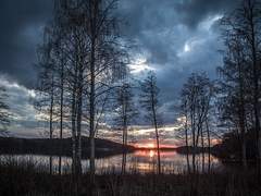 푸른 눈에 담겼던 붉은 참상은