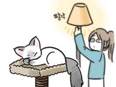 25화 고양이는 왜