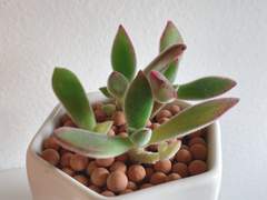 슬프게 끝나는 이야기