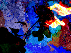 [뚀] 우리는 언제쯤 사랑을 하지