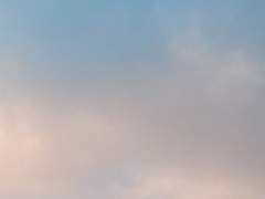 유찬혁 XY 19 보건부