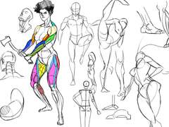 2022년 7월 9일 (토) <해부학>