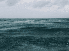 밀물의 파도처럼 내게 오라 - 11